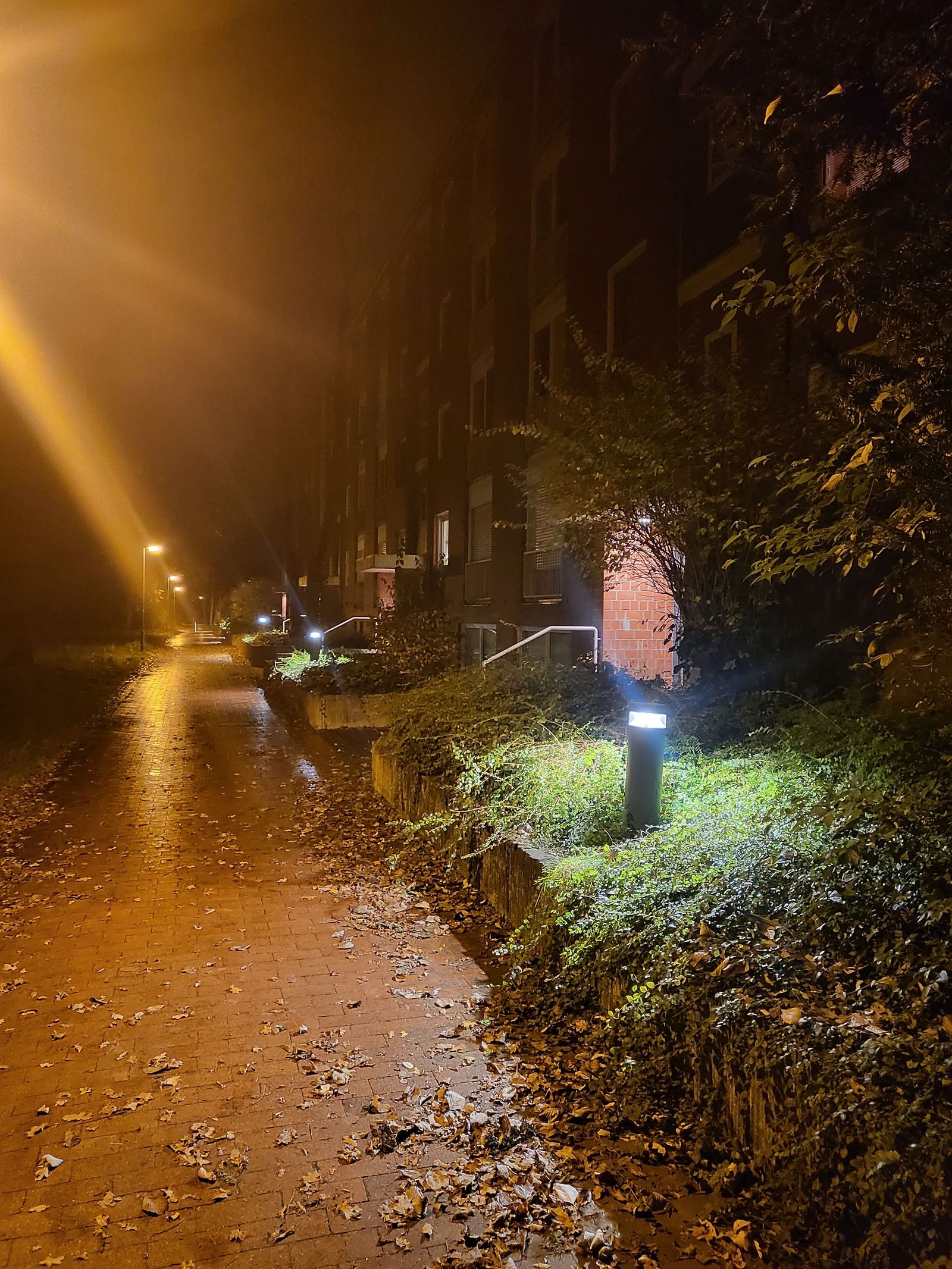 BEGA-Mastleuchte am Tripweg